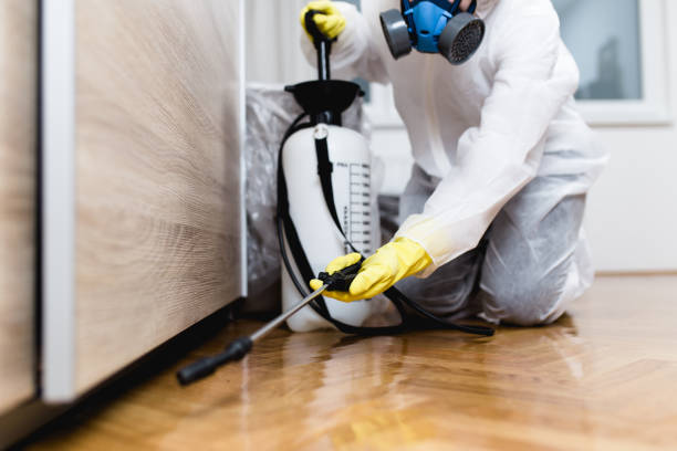 Best Rat Extermination Near Me  in Eureka Springs, AR