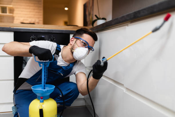 Best Best Pest Control Companies  in Eureka Springs, AR