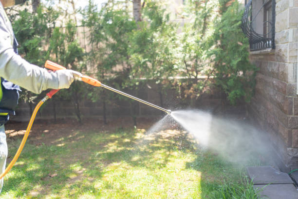 Best Affordable Pest Control Services  in Eureka Springs, AR