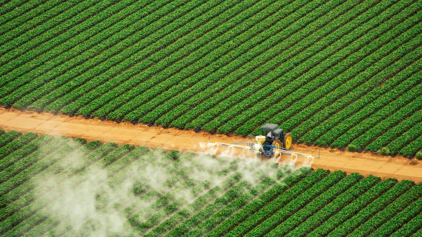 Best Pest Control for Businesses  in Eureka Springs, AR