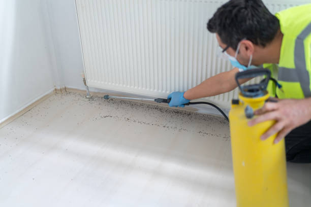 Best Termite Control Services  in Eureka Springs, AR