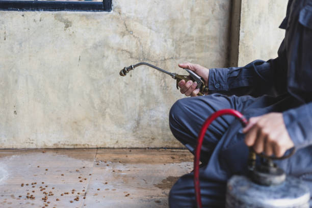 Eureka Springs, AR Pest Control Pros